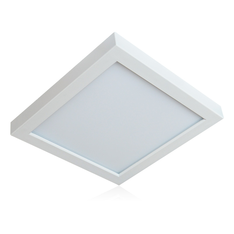 LED Ceiling Light