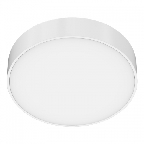 LED Ceiling Light